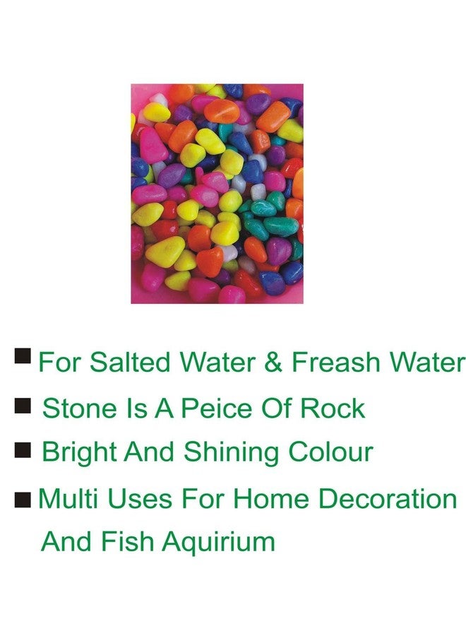 Somil Multicolor Pebbles/Stones for Garden, Plants, Lawns, Aquariums, Fish Pots, Home Decor, Vases, Furniture Filler. Size: 10-30mm, Shiny Multicolor -A550 - Image 2